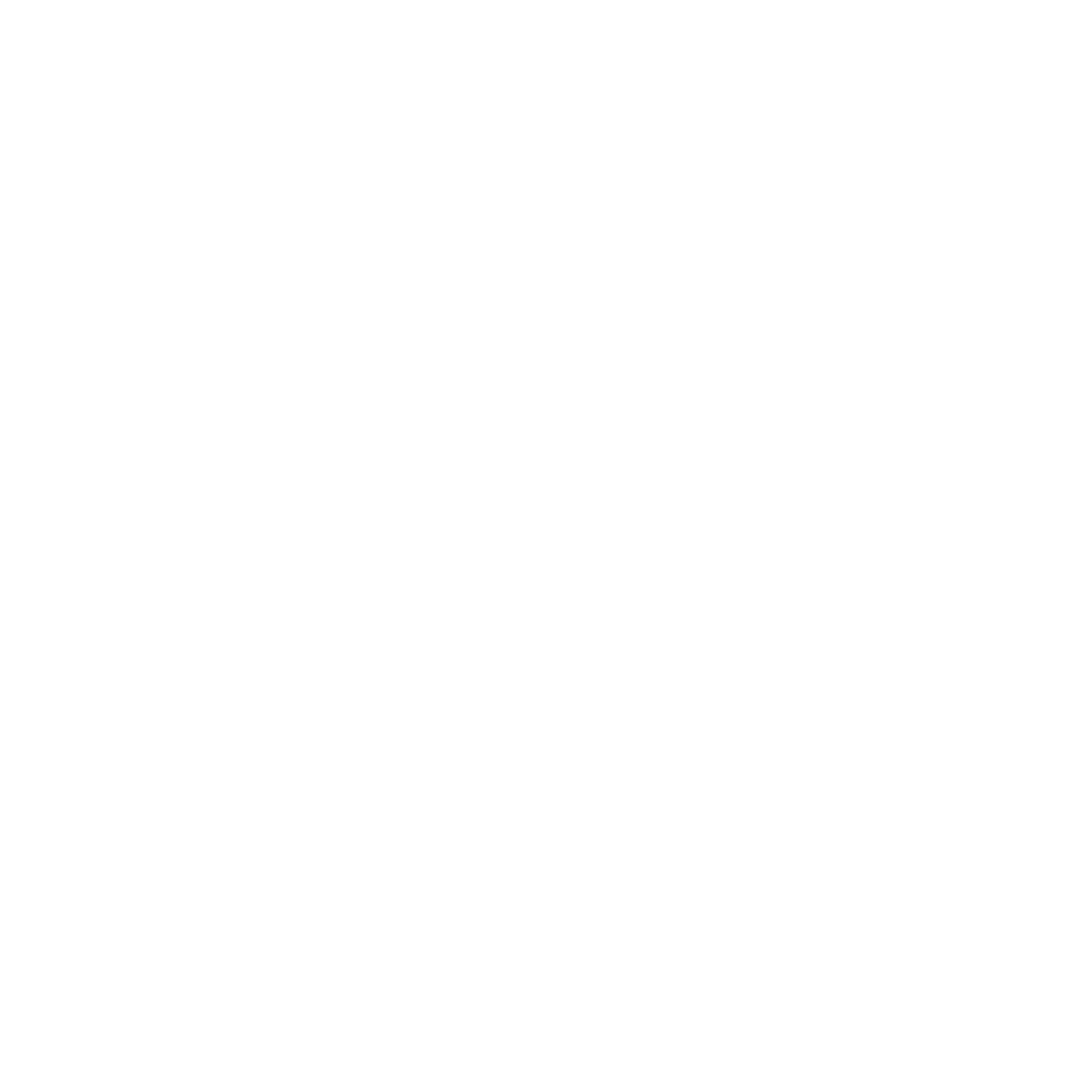 TESLAWHITE